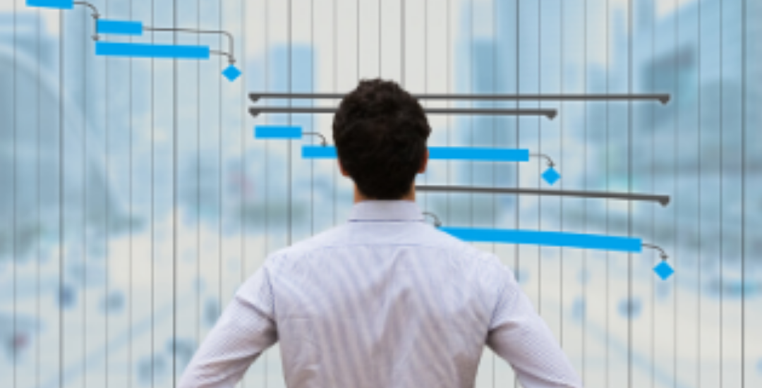 project management